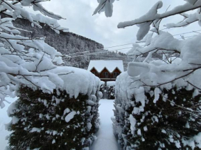 Куджир